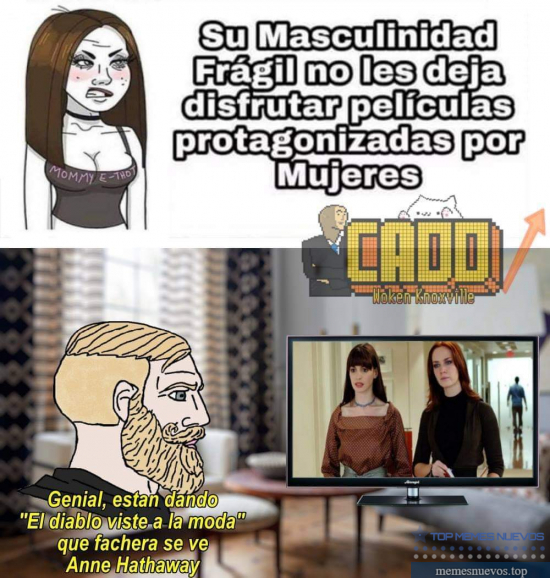 Memes en Español @ memesnuevos.top