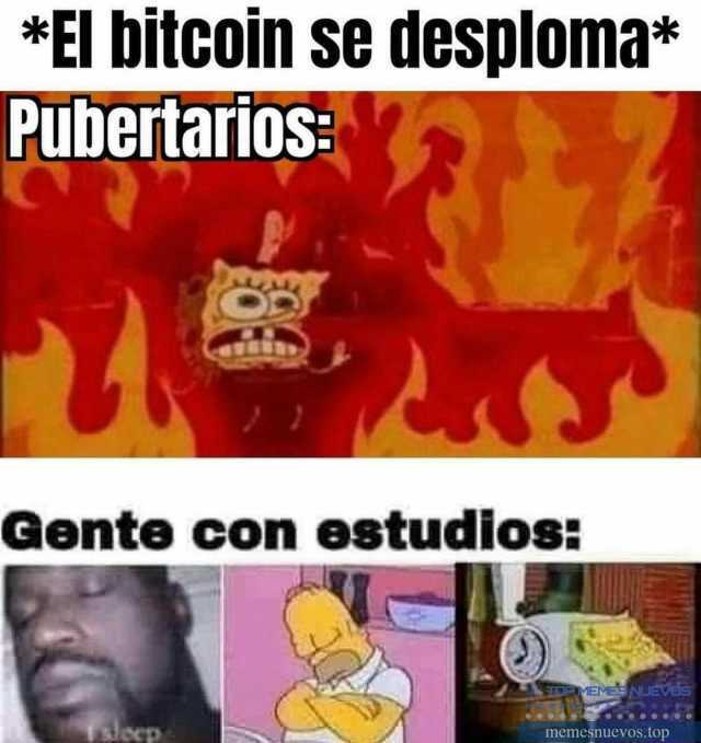 Memes en Español @ memesnuevos.top
